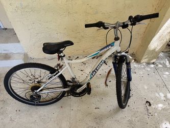 Schwinn mountain bike (small, for youth or small woman)