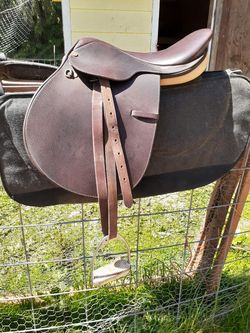 Saddle