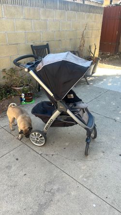 Chicco bravo stroller