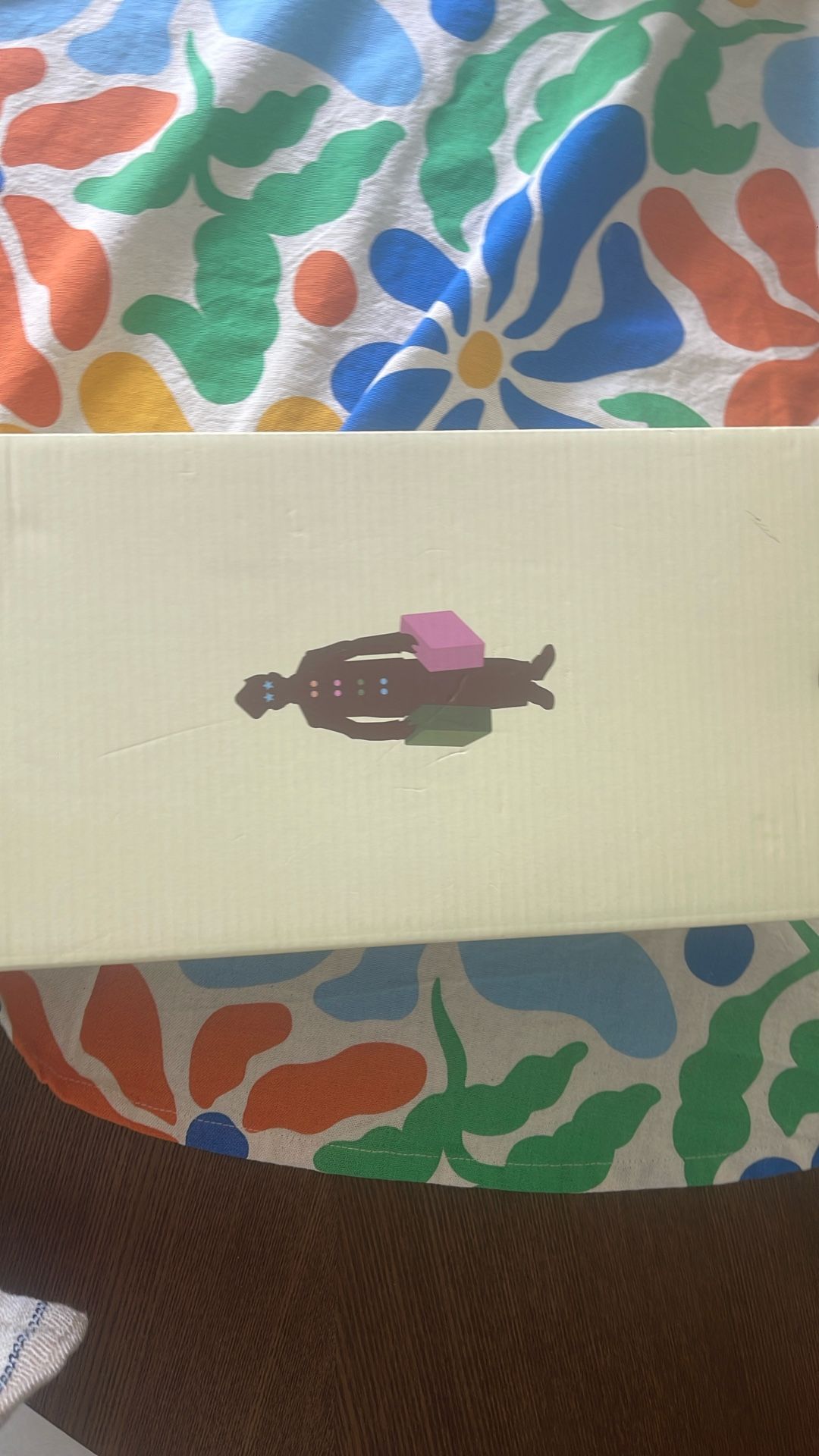 BRAND NEW tyler the creator golf le fleur converse