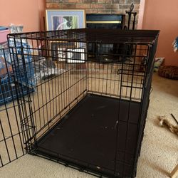 Collapsible 2ft by 3ft Pet Crate