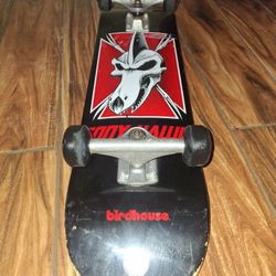 vintage tony hawk bird house skateboard