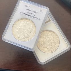Morgan Dollar Lot 