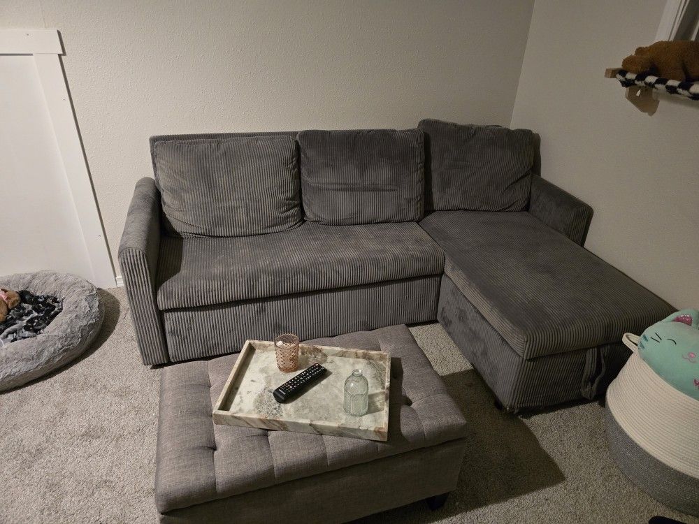 Gray Couch (Pull Out & Storage)