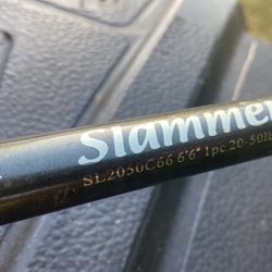 Slammer Fishing Rod And GTO PENN 220 Reel