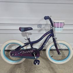 Shwinn Bicycle