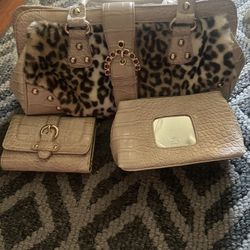 Kathy Vanzeeland Purse And Wallet And Little Makeup bag 