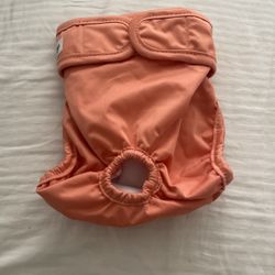 Doggy Cover Diaper