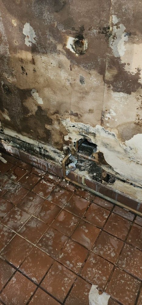Mold Remediation