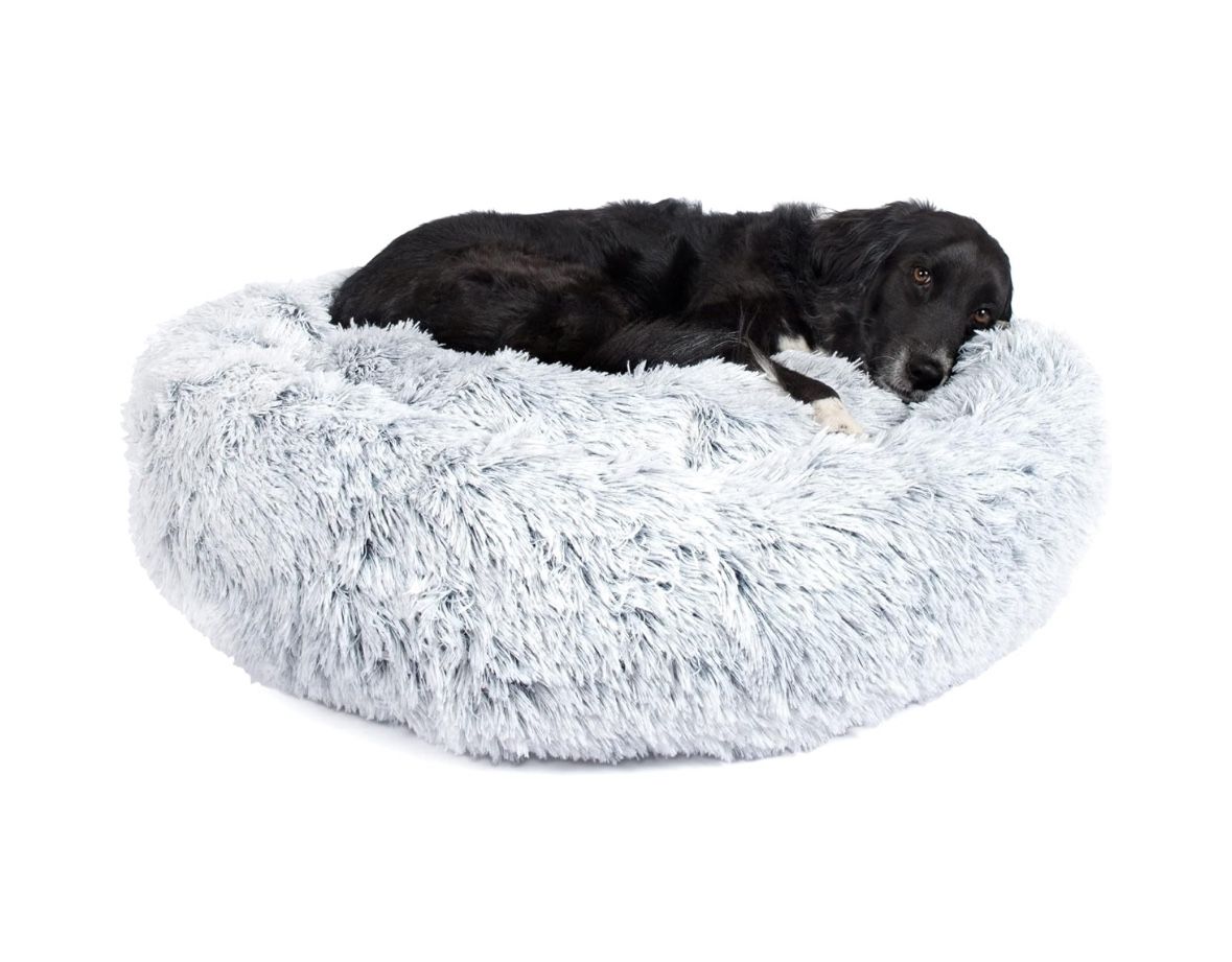 Dog Bed (L)
