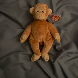 Bongo Monkey 