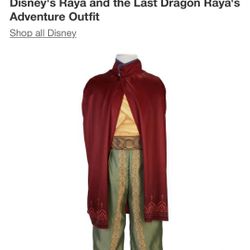 Disney Raya Costume Size 5-6