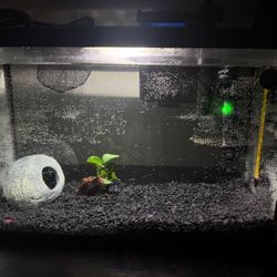 5 Gallon Top Fin Tank