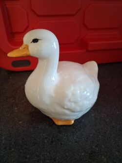 Duck