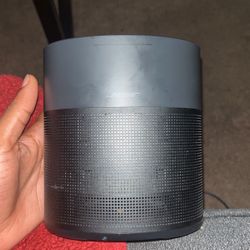 Bose home speaker 300