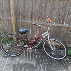 Ladies Bike 