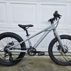 Giant STP 20 Kids Mountain Bike