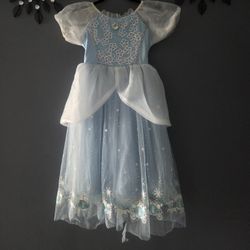 Cinderella Costume