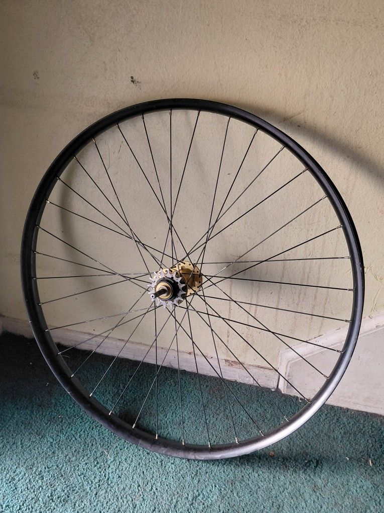 SE bikes 29 Inch Skinny Axel Rim