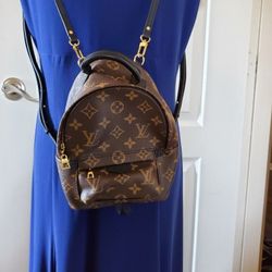 Louis Vuitton Palm Spring Mini Backpack 