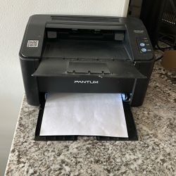 Pantum P2502W