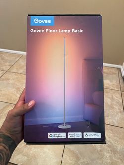 Govee floor lamp