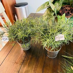 GILBERT: Artificial Plant Decor