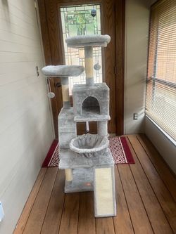 Cat climber
