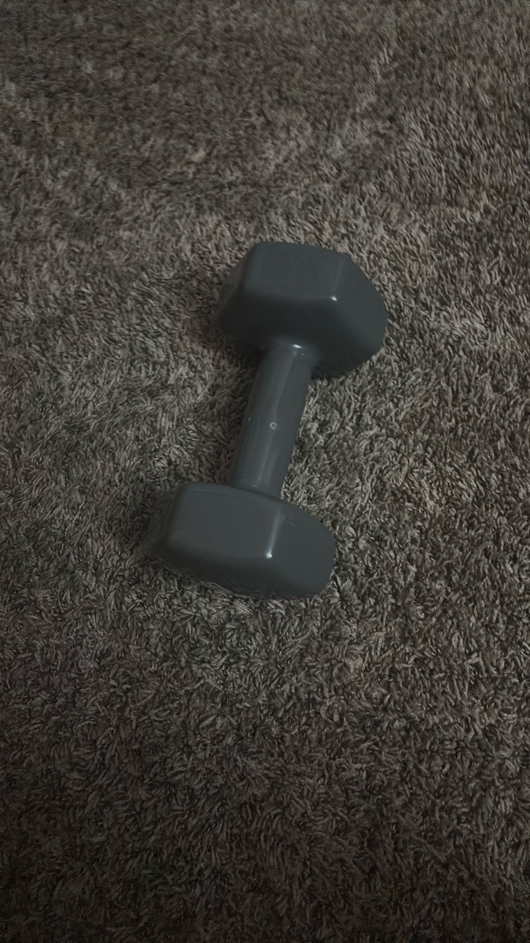 2 20lbs Weight Dumbbell Never Used