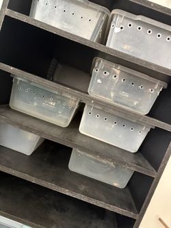 Reptile equipment for snakes