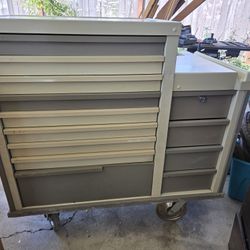 Lionville Medication Cart