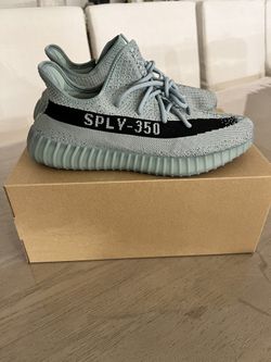 Yeezy Boost 350 SALT Size M10