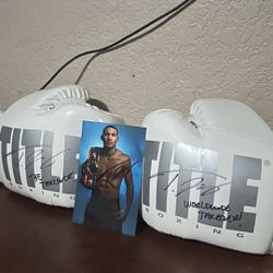 Teofimo Lopez Boxing Glove 