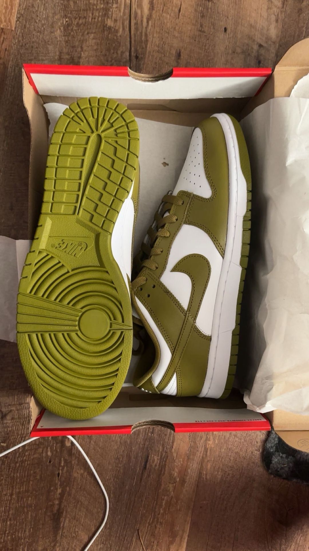 Size 11 Men’s Nike Dunks