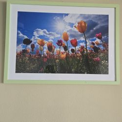 Picture Frame Tulips