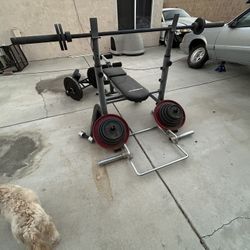 Workout bench with weights 