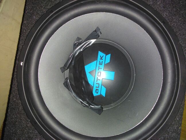 Auto Tek 12in speakers