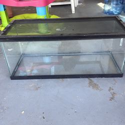 20 gallon glass tank
