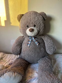 Big Grey Bear