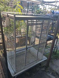 Bird cage very big