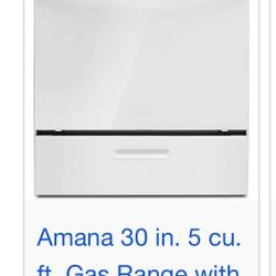Brand New Amana Oven White