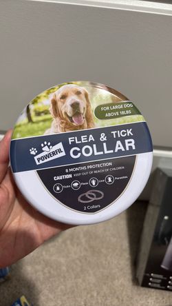Dog Collar