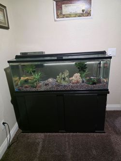 60 gallon fish tank and stand filer