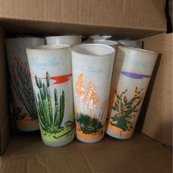 Vintage 50’s Blakely Arizona Cactus Frosted Tumblers