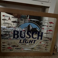 Busch Lt 