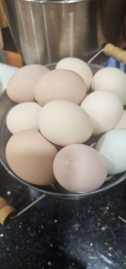Huevos Frescos Orgánico A 5.00 La Docena 
