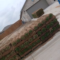 Grass Sod For Sale 
