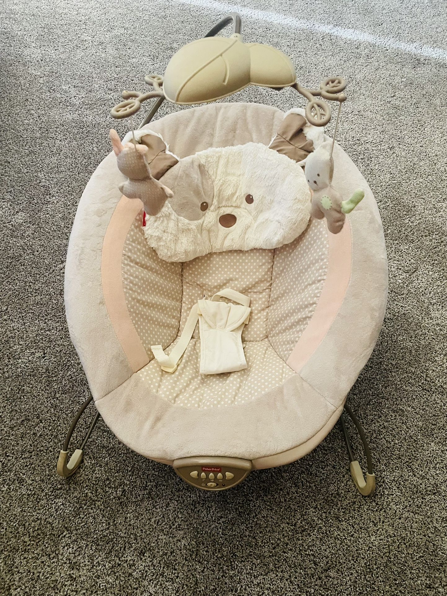 Baby Bouncer