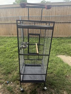 Large bird cage