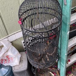 Bird Cage